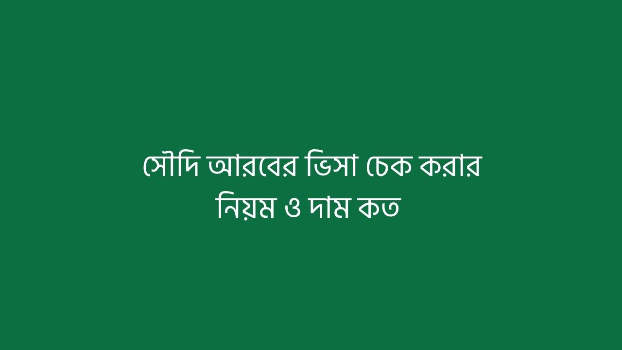 সৌদি আরবের ভিসা চেক করার নিয়ম ও দাম কত